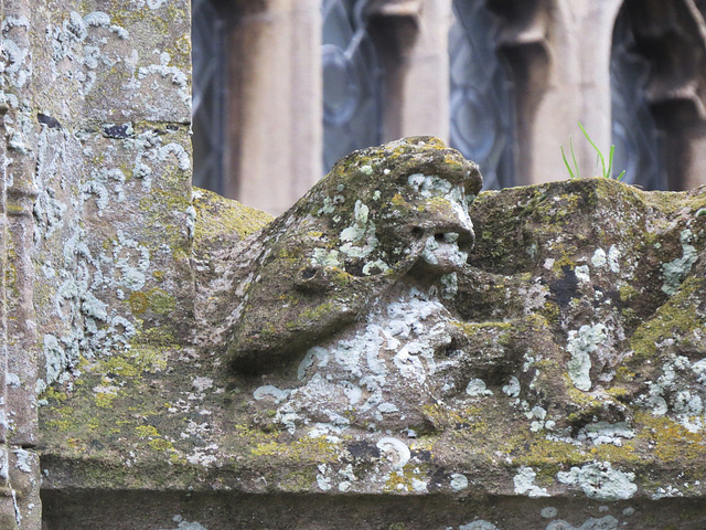 dereham church, norfolk