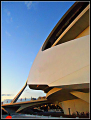 Valencia: Palacio de las Artes Reina Sofía, 8