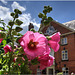 Alms Houses, Ludlow