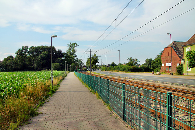 B54 Evinger Straße (Dortmund-Brechten) / 22.06.2019