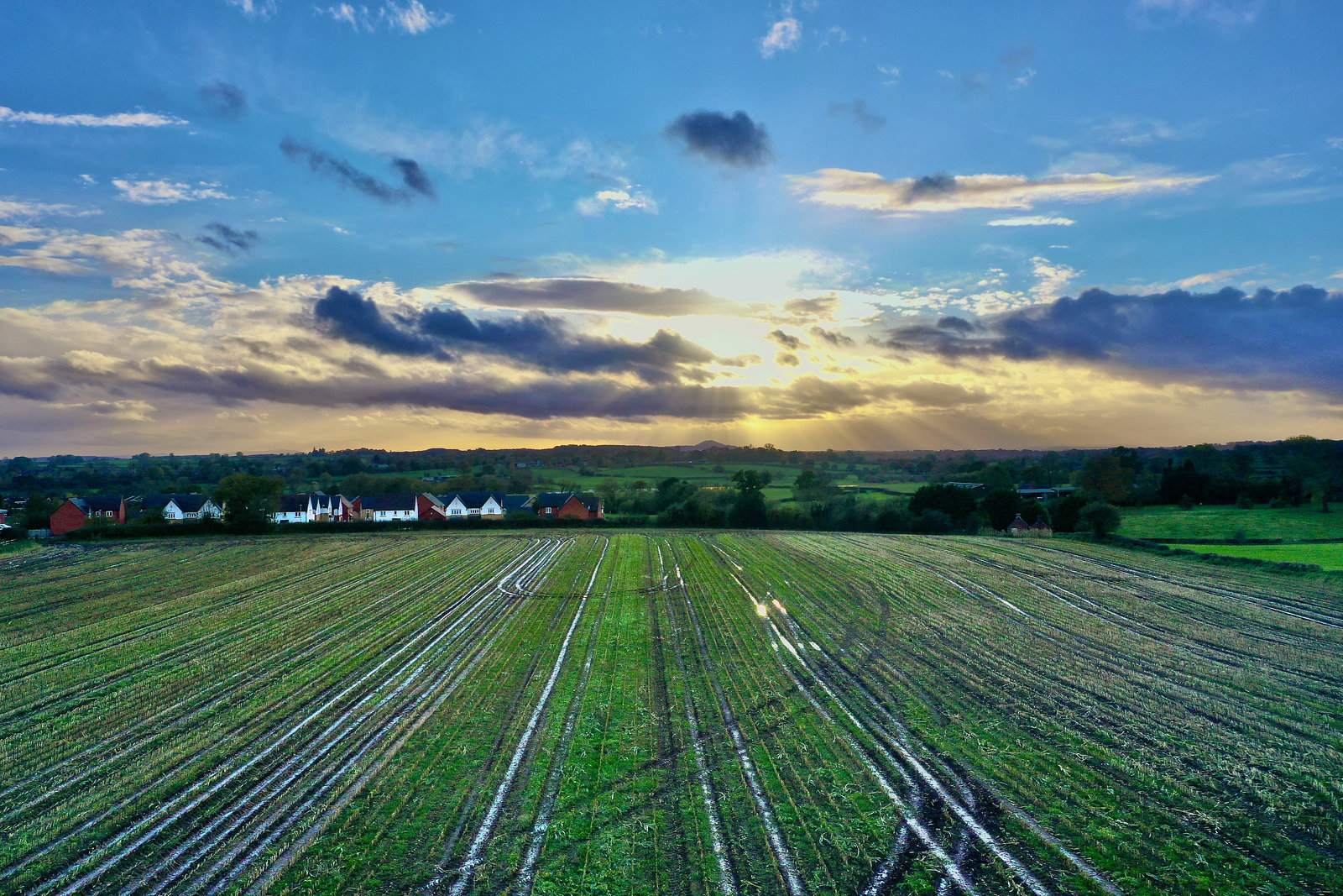 Wet fields