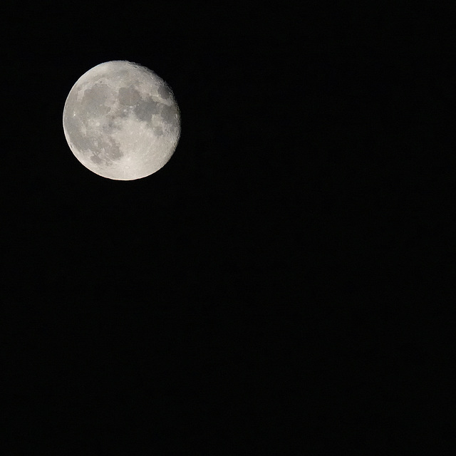 Essai, sur la pleine lune de l'Esturgeon