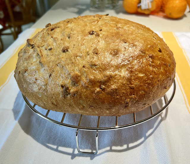 It’s been a while – sunflower and pumpkin seed wholemeal loaf