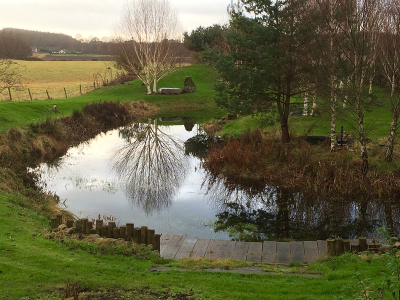 Pond filling up nicely, but where is my skating rink?