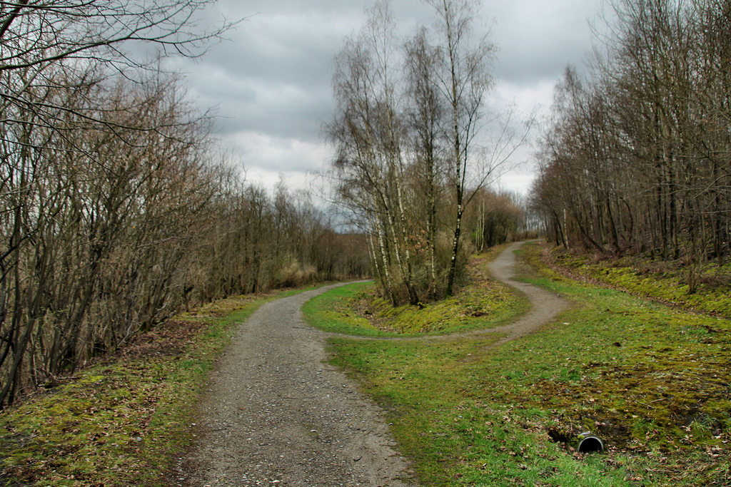 Halde Tockhausen, Lünen-Brambauer / 16.03.2019