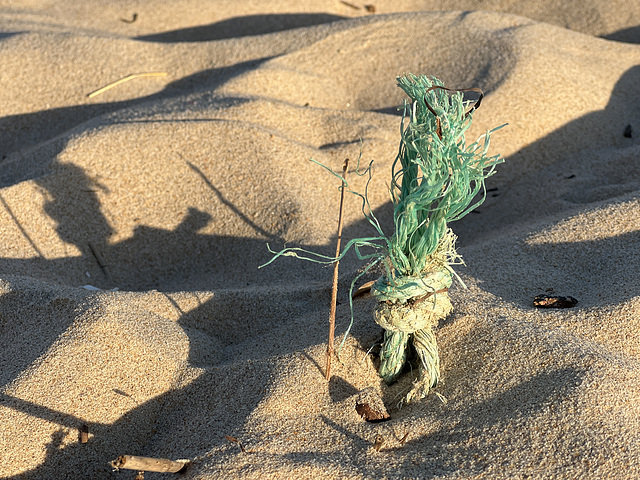 Blue rope… emerging?