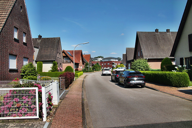 Rothstraße (Dorsten-Lembeck) / 20.07.2024