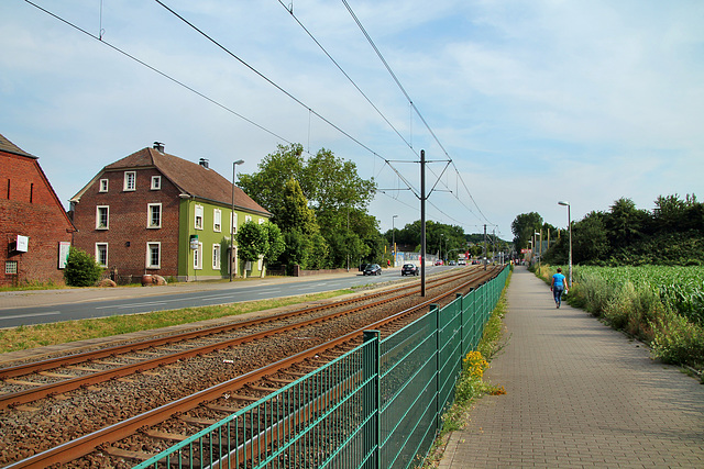 B54 Evinger Straße (Dortmund-Brechten) / 22.06.2019