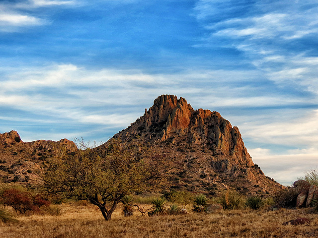 Madrean Sky Islands