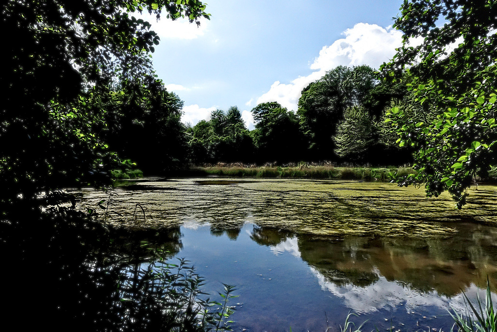 Etang de Pithiviers-le-Vieil