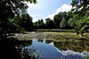 Etang de Pithiviers-le-Vieil