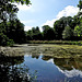 Etang de Pithiviers-le-Vieil