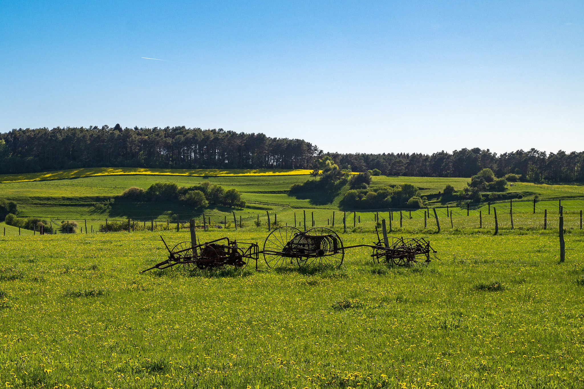 Blankenheim - Lampertstal im Frühjahr