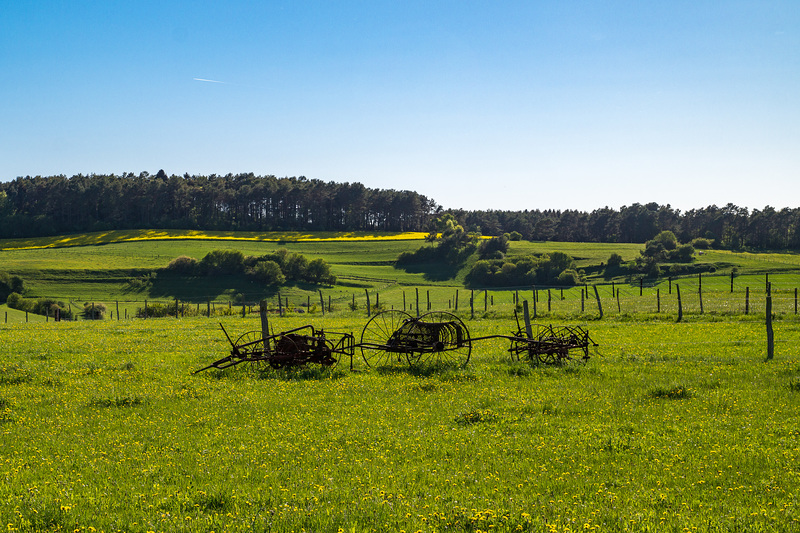 Blankenheim - Lampertstal im Frühjahr