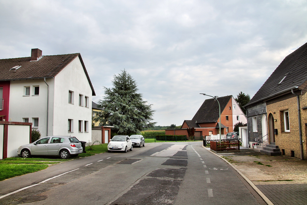 Stalleickenweg (Wattenscheid-Sevinghausen) / 30.08.2021