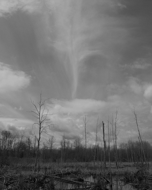 jet cloud / fontaine de nuage