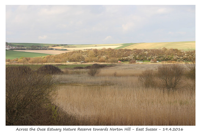 Across the Ouse Estuary Nature Reserve  to Norton Hill - 19.4.2016