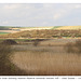 Across the Ouse Estuary Nature Reserve  to Norton Hill - 19.4.2016