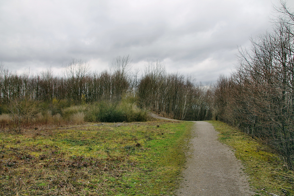 Auf dem Plateau der Halde Tockhausen (Lünen-Brambauer) / 16.03.2019