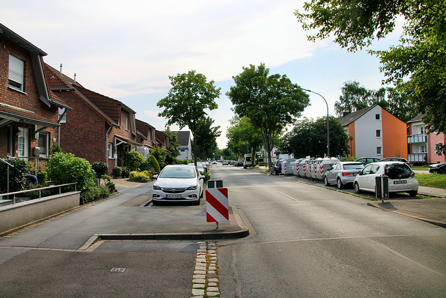 Schiffhorst (Dortmund-Brechten) / 22.06.2019