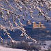 Castello di Torrechiara - Val Parma