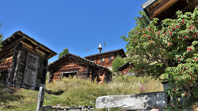 Leukerbad 08.22 / Torrentalp