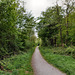 Waldweg im Naturschutzgebiet Beerenbruch (Dortmund-Mengede) / 23.04.2022