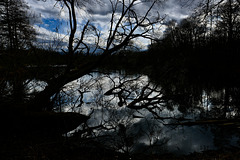 Vörstetter See