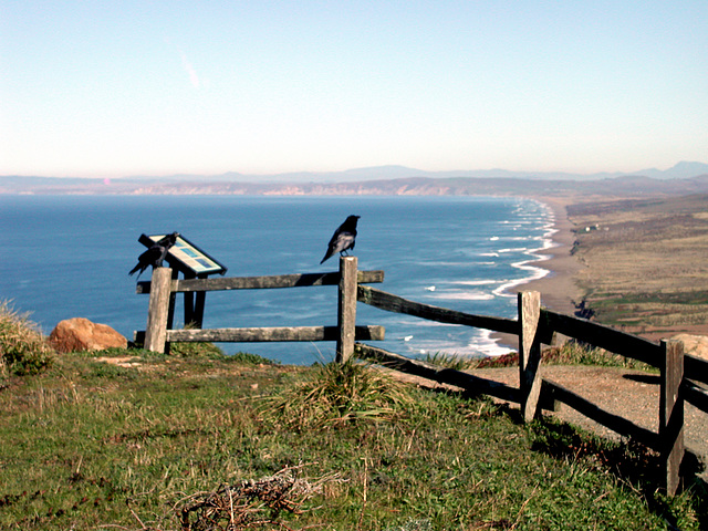 Sitting on the Fence