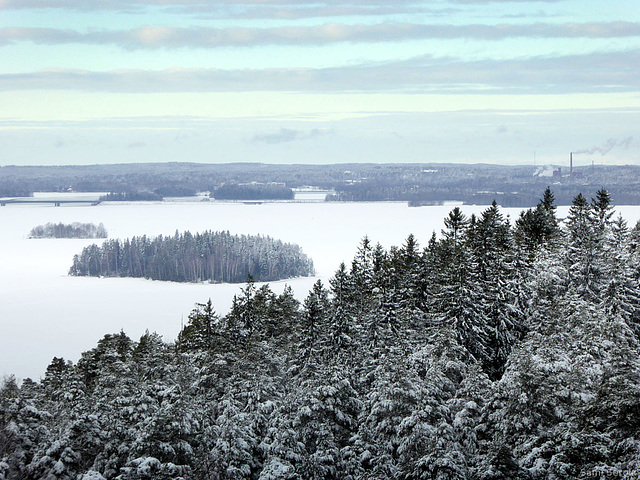 View over trees