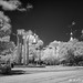 University of Tampa Infrared 006