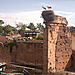 Marrakesh