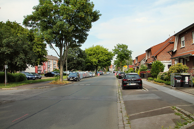 Schiffhorst (Dortmund-Brechten) / 22.06.2019