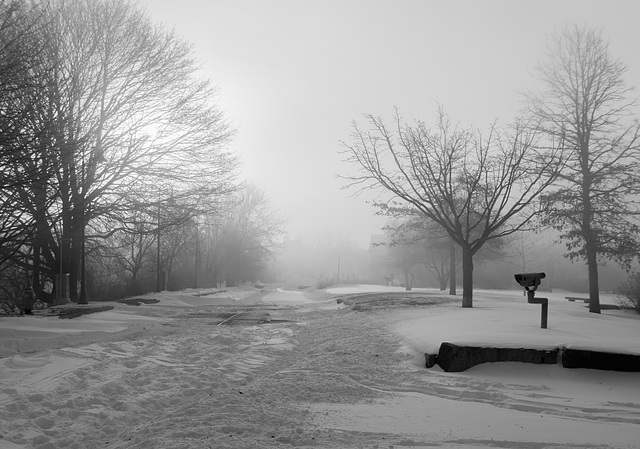 Foggy morning, winter