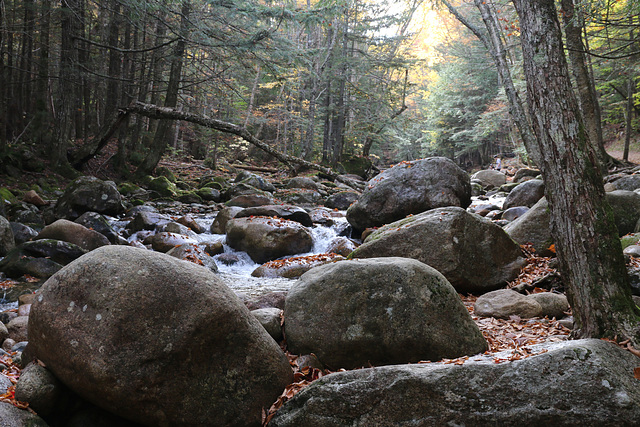 Sabbaday Brook