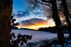 Winterhimmel und Sonnenhut