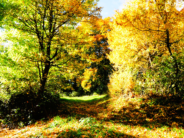 Herbst 2025