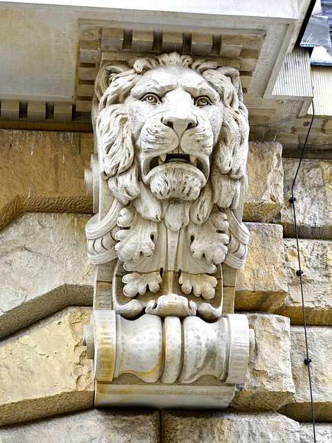 Leipzig 2017 – Lion