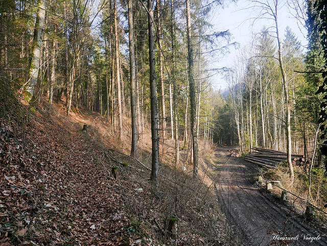 Links  Wanderweg zur Blumenegg