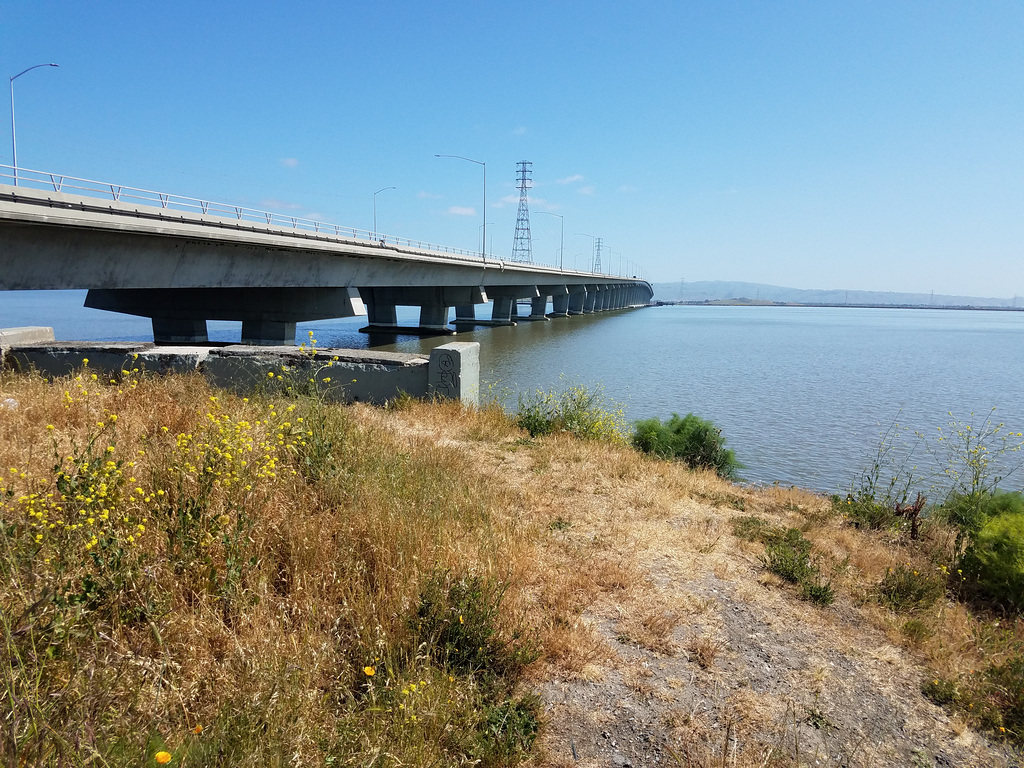 Dumbarton Bridge, California