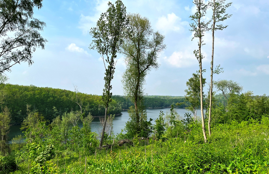 DE - Brühl - Blick auf den Mittelsee