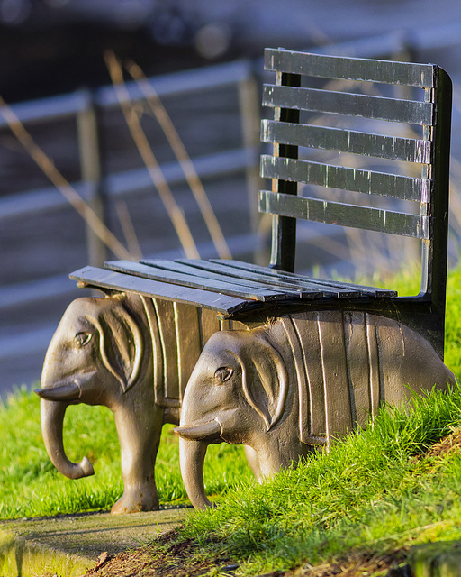 Elephant Bench