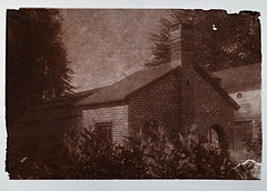 Burbank Greenhouse salt print