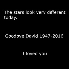 Goodbye David - 11 January 2016