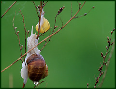 jour de pluie ......