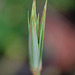 DSCF7493