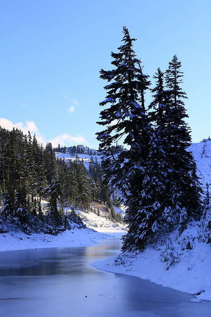 Lower Bagley Lake