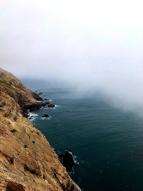 Point Reyes