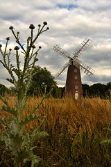 Billingford Windmill