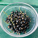 Schwarze Johannisbeere